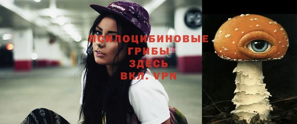 гидропоника Лихославль