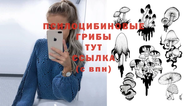 гидропоника Лихославль
