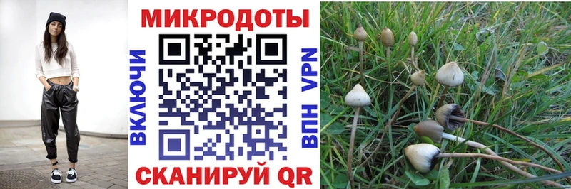 Псилоцибиновые грибы прущие грибы  Томмот 